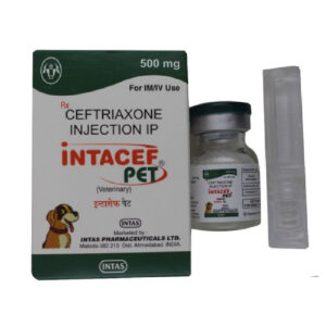 Intacef PET Ceftriaxone Tazobactam Injection