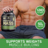 ON Serios Mass Weight Gainer Chocolate Powder, 3lbs - Image 6