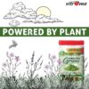 Vitrovea Amazing Greens Powder, 300gm - Image 12