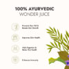 Kapiva Wild Amla Juice, 1litre - Image 5