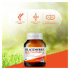 Blackmores Bio Calcium, 60Tabs - Image 3