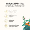 Kapiva Hair Rituals Tulsi Anti Hairfall Oil, 100ml - Image 3