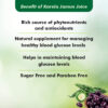 Baidyanath Karela Jamun Juice, 1litre - Image 2
