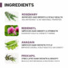 Dermatouch Actives 2% Rosemary Spray For Hair Growth, 100ml - Image 2